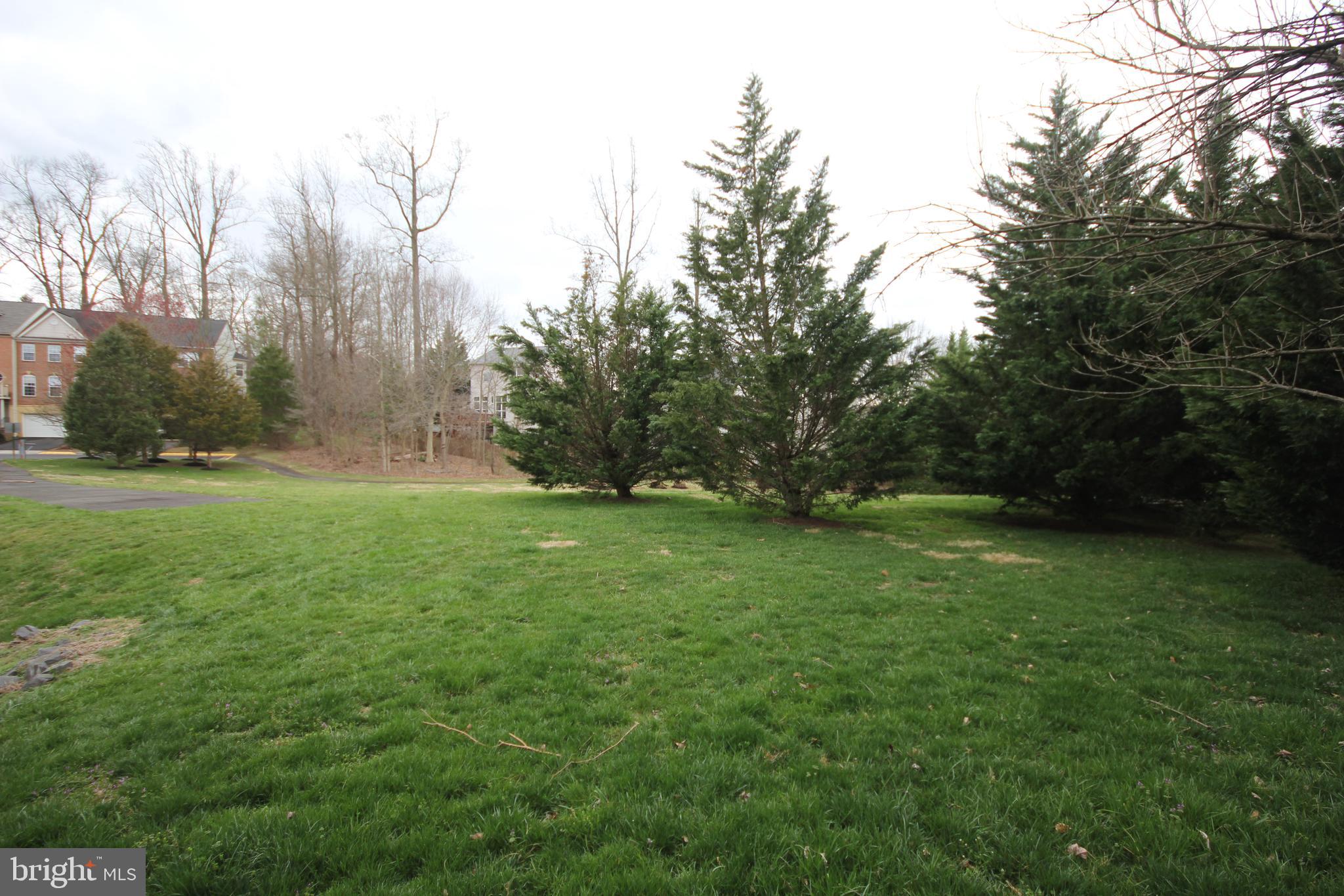 CARRIAGE LAWN - Residential