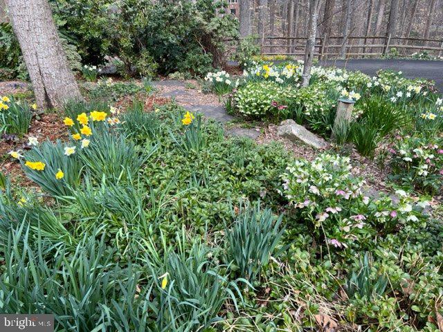 MAZZA WOODS - Residential