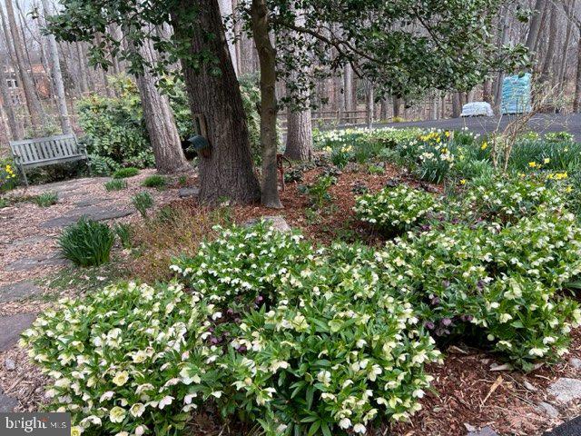 MAZZA WOODS - Residential