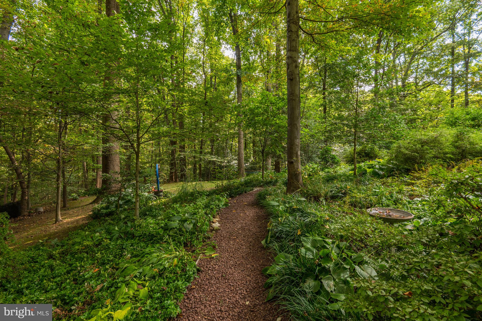 MAZZA WOODS - Residential