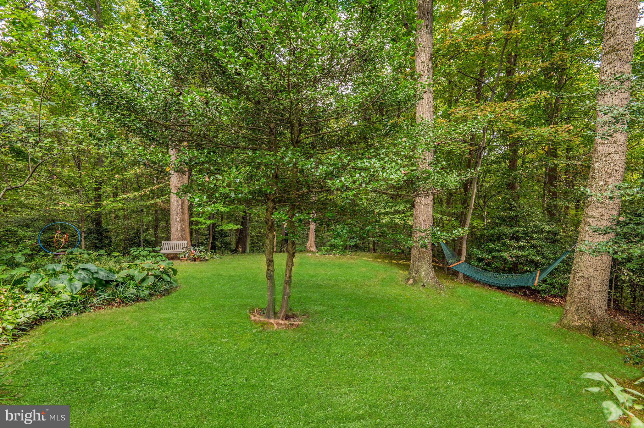 MAZZA WOODS - Residential