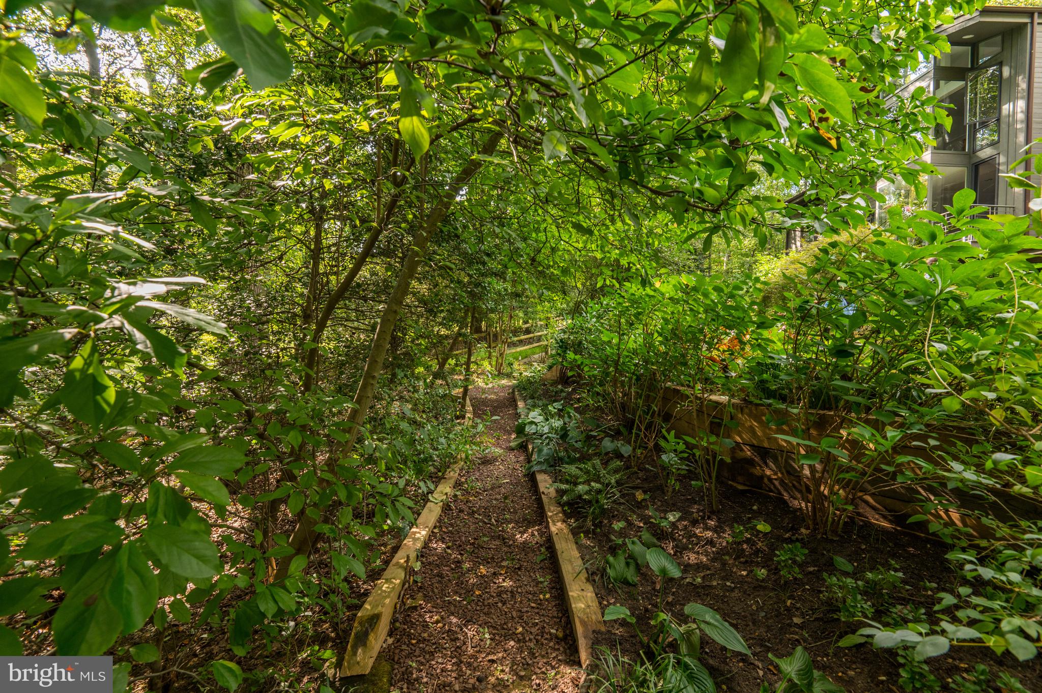 MAZZA WOODS - Residential