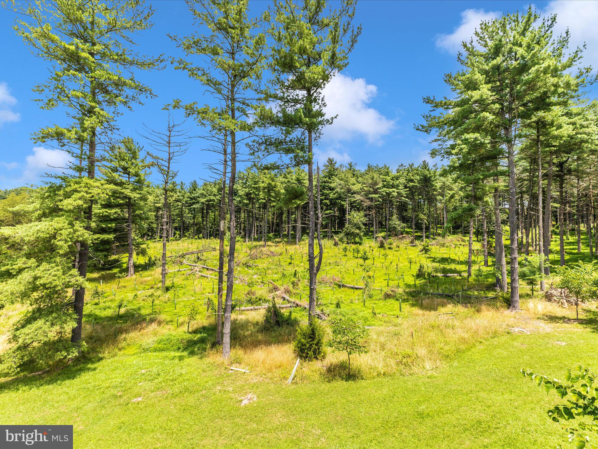 SCOUTS KNOLL - Residential