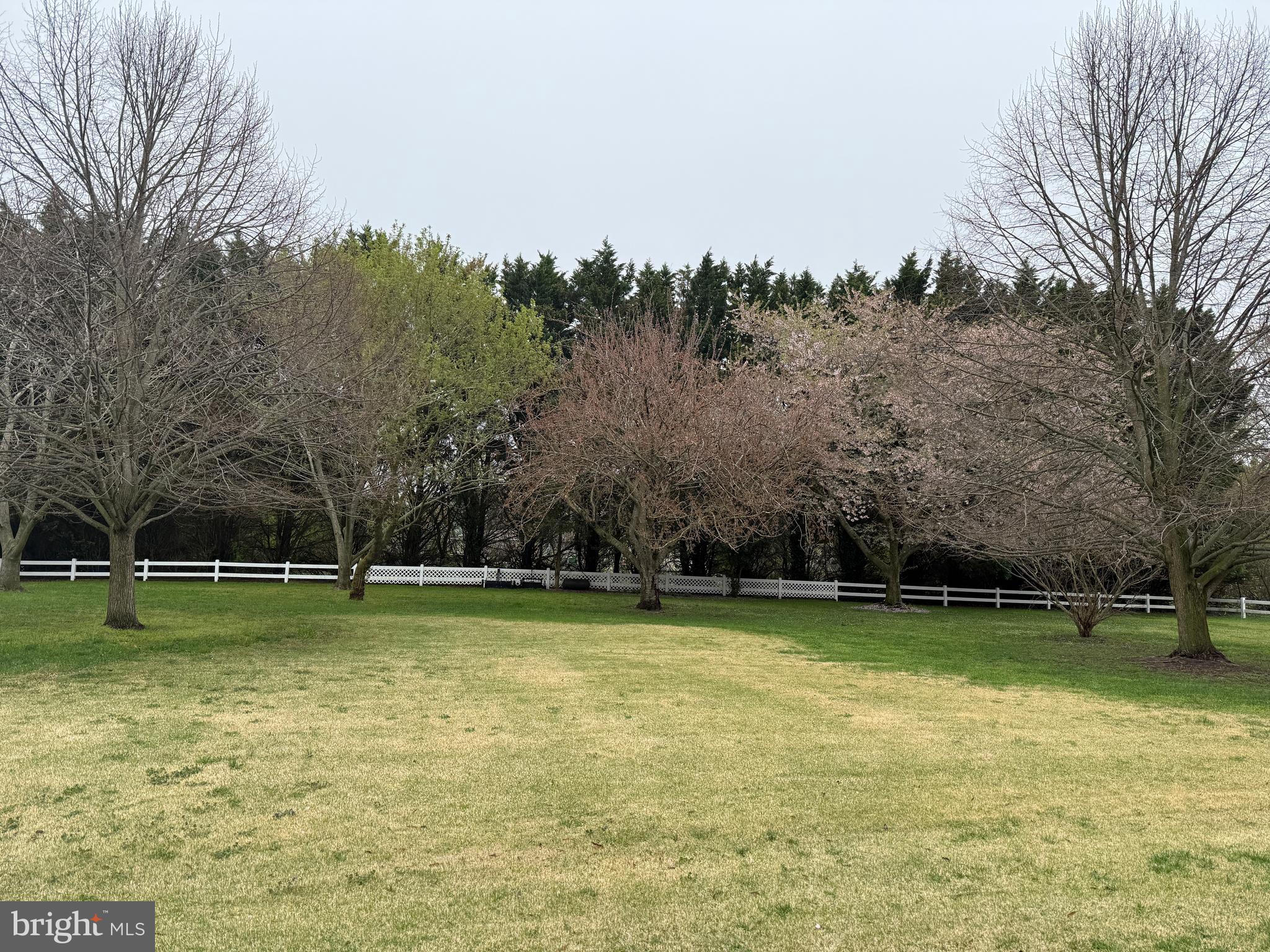 CABIN RIDGE - Residential