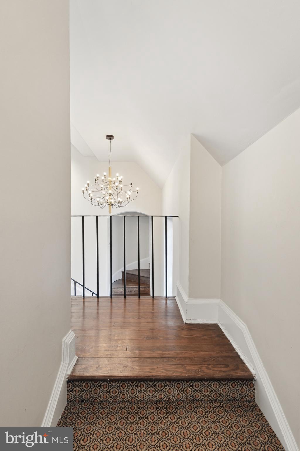 CHESTNUT HILL - Residential