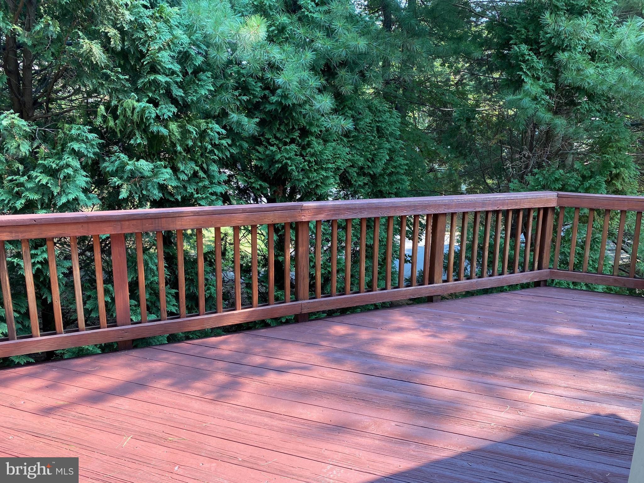 RANDOM HILLS - Residential Lease