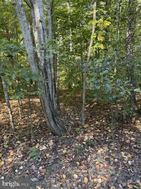 RAPPAHANNOCK DRIVE