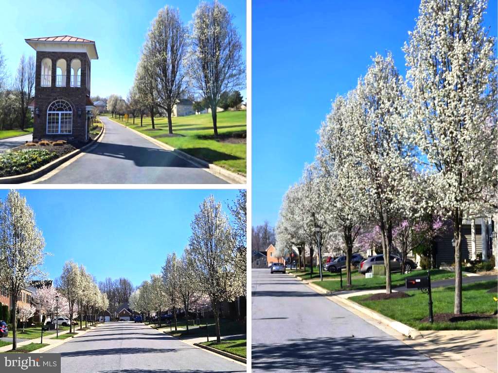 BALMORAL - Residential