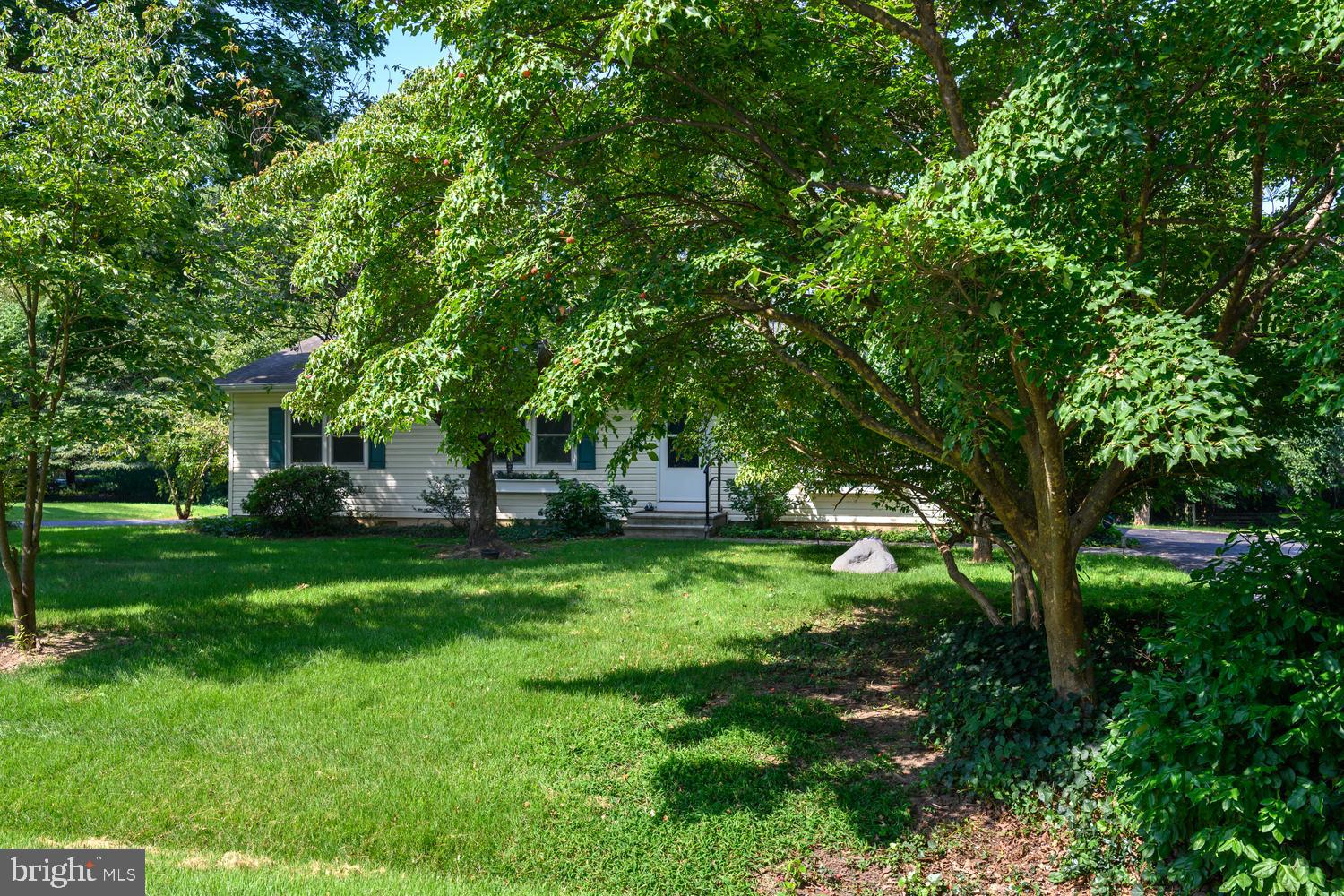 217 EDMORE ROAD