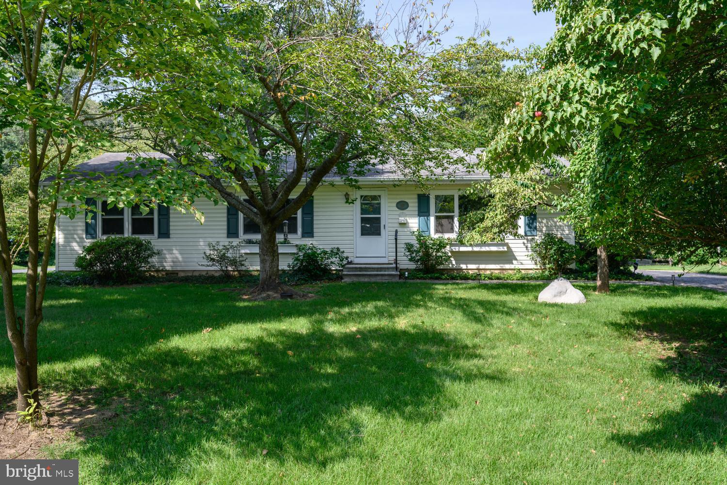 217 EDMORE ROAD