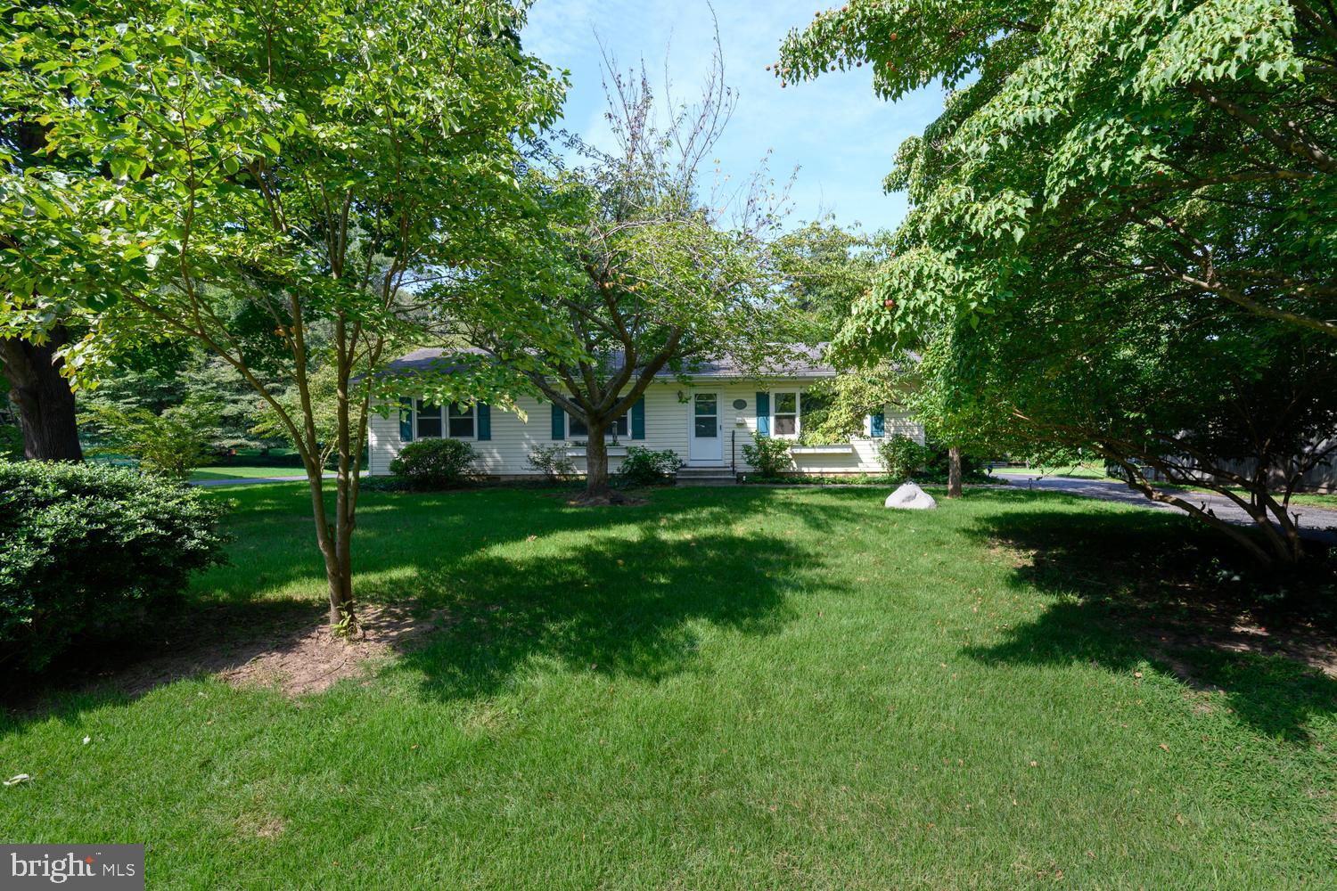 217 EDMORE ROAD