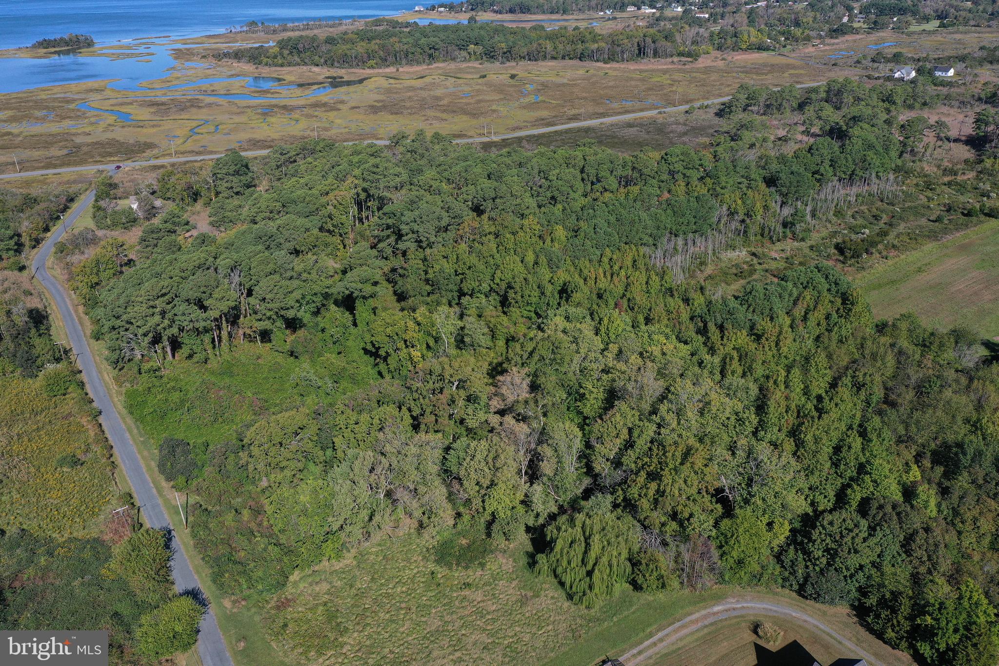 23392 CUSTOM HOUSE ROAD