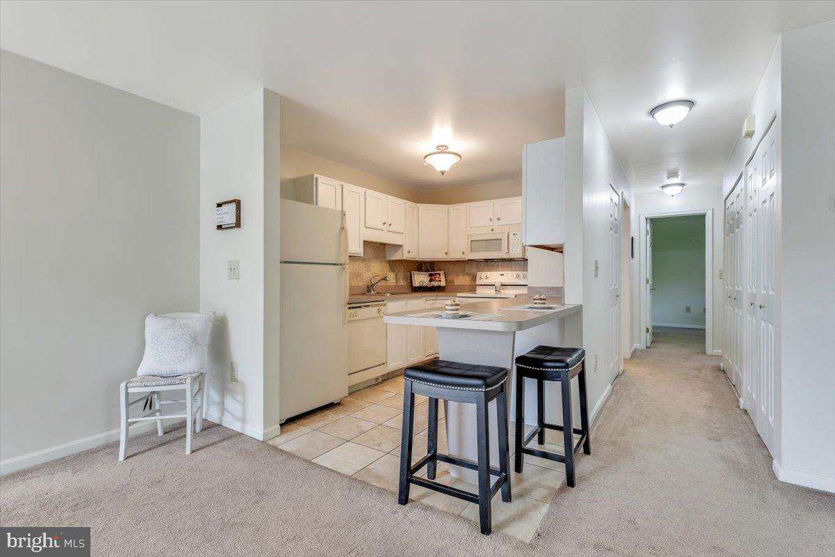 CHESTERVIEW - Residential Lease