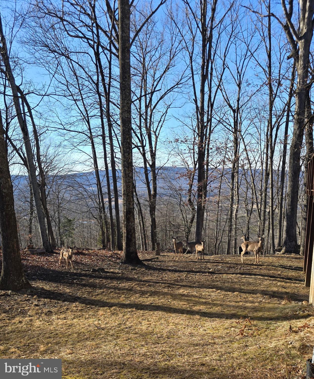 DEERWOOD - Residential