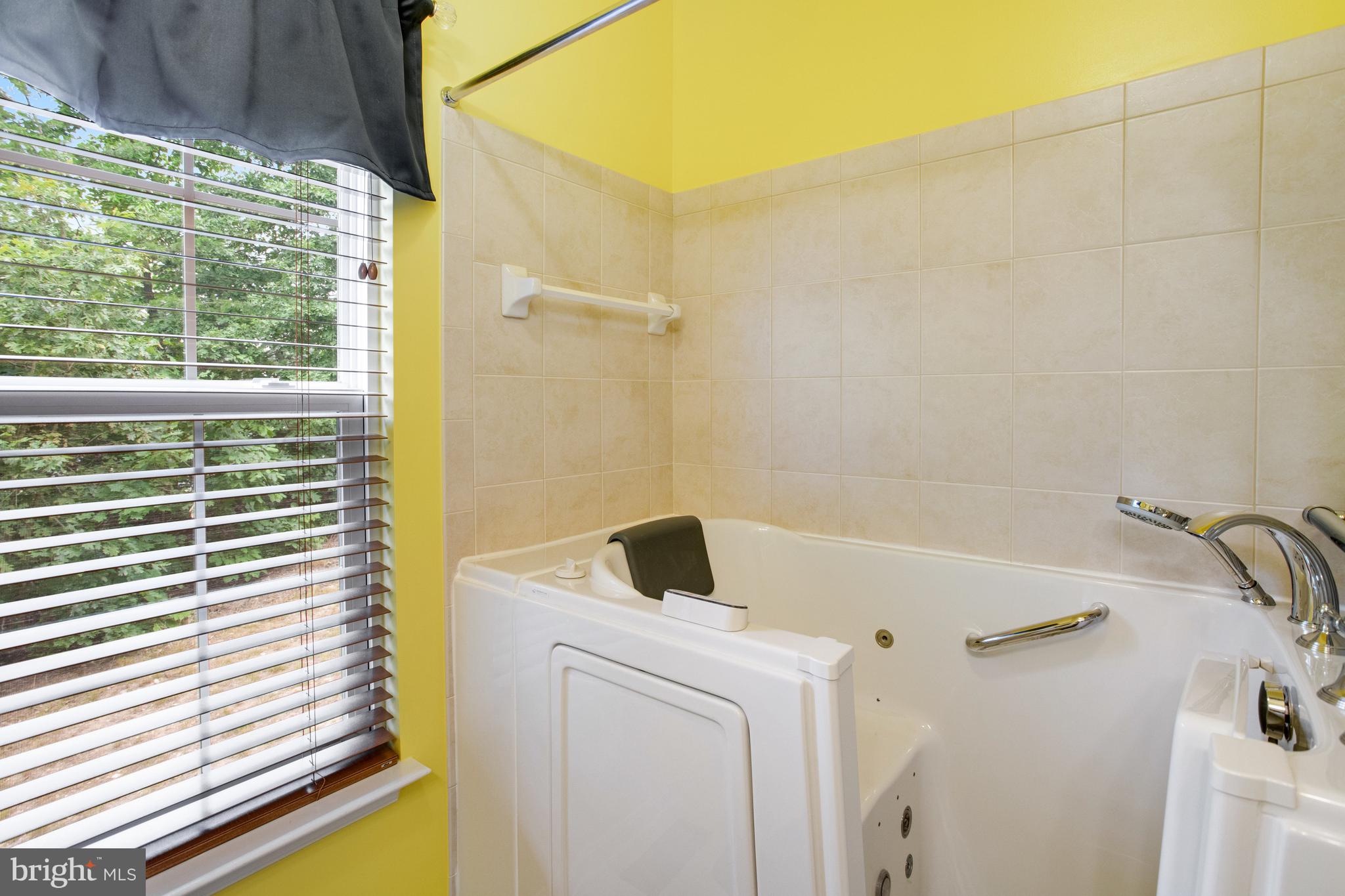 FOUR SEASONS AT HISTORIC VA - Residential