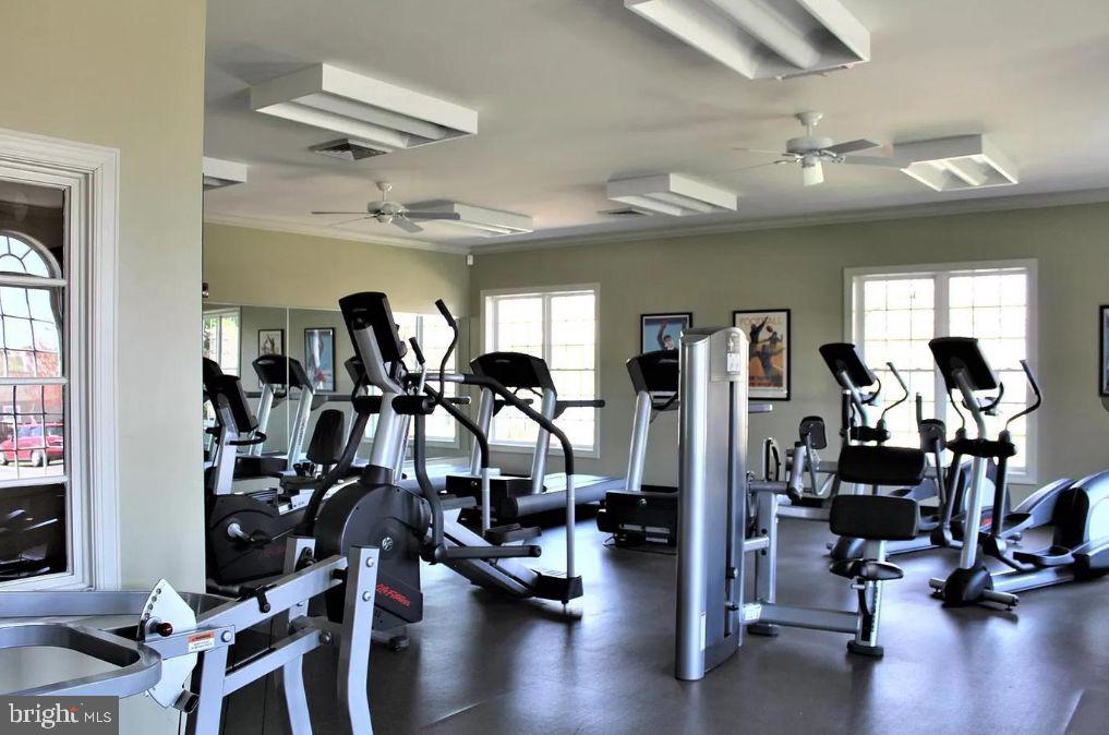 WINDSOR RIDGE - Residential