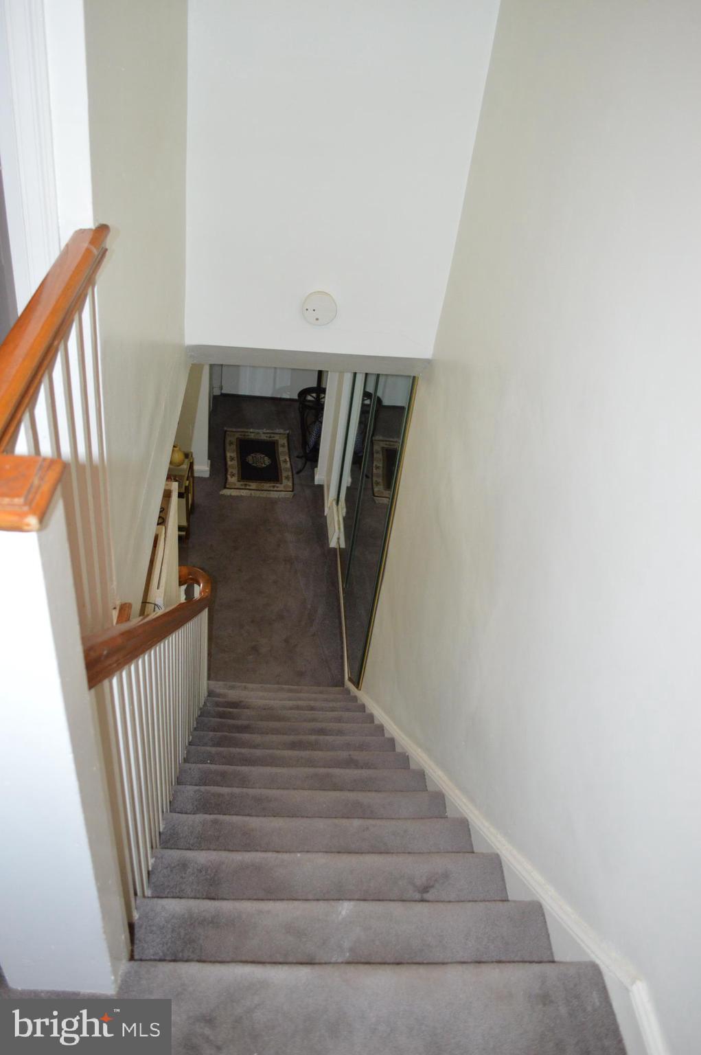 CASTOR GARDENS - Residential