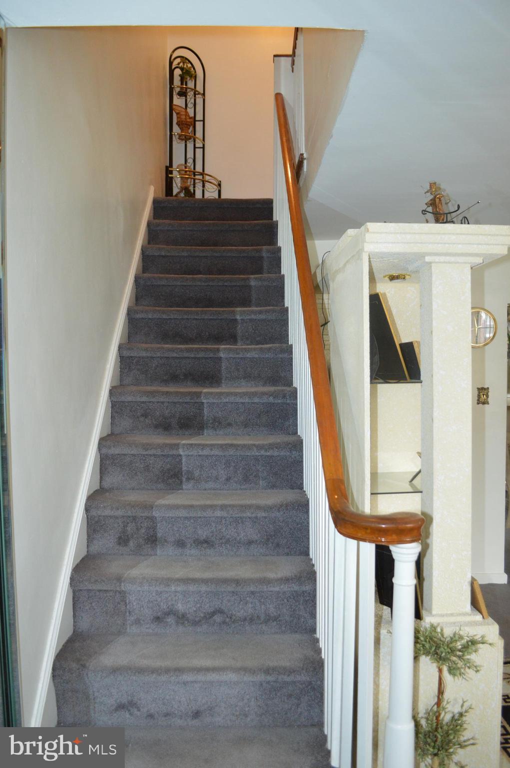 CASTOR GARDENS - Residential