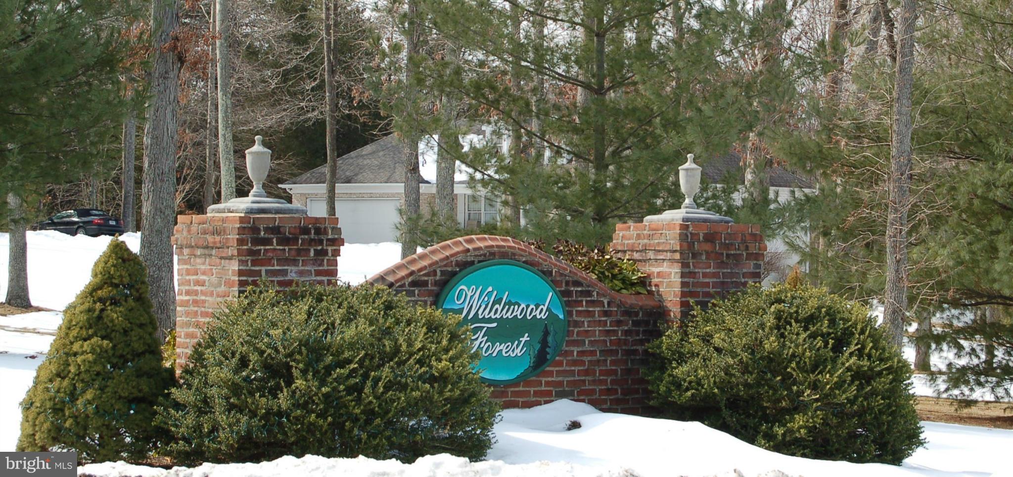 WILDWOOD FOREST - Residential