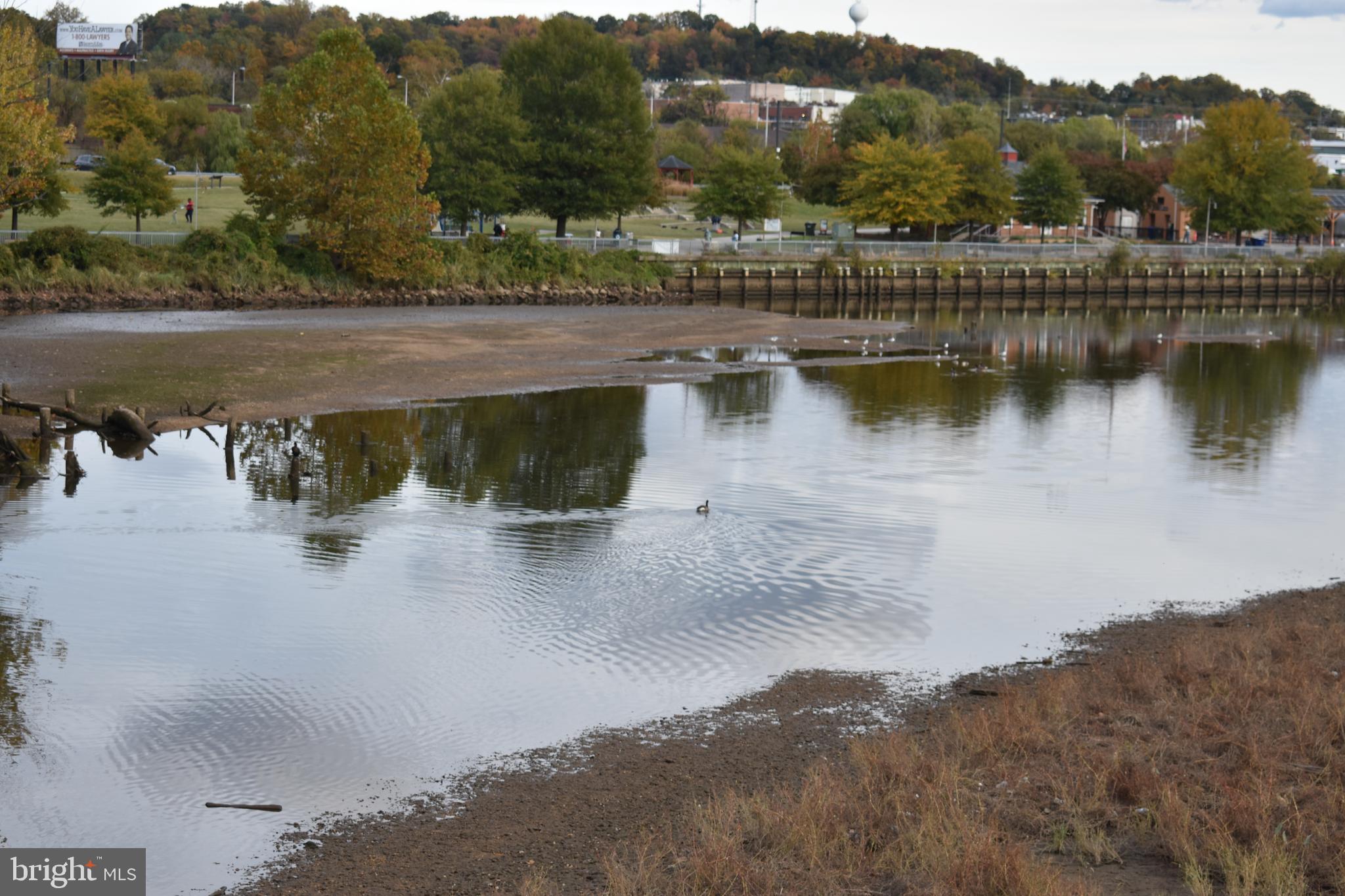 COLMAR MANOR - Residential