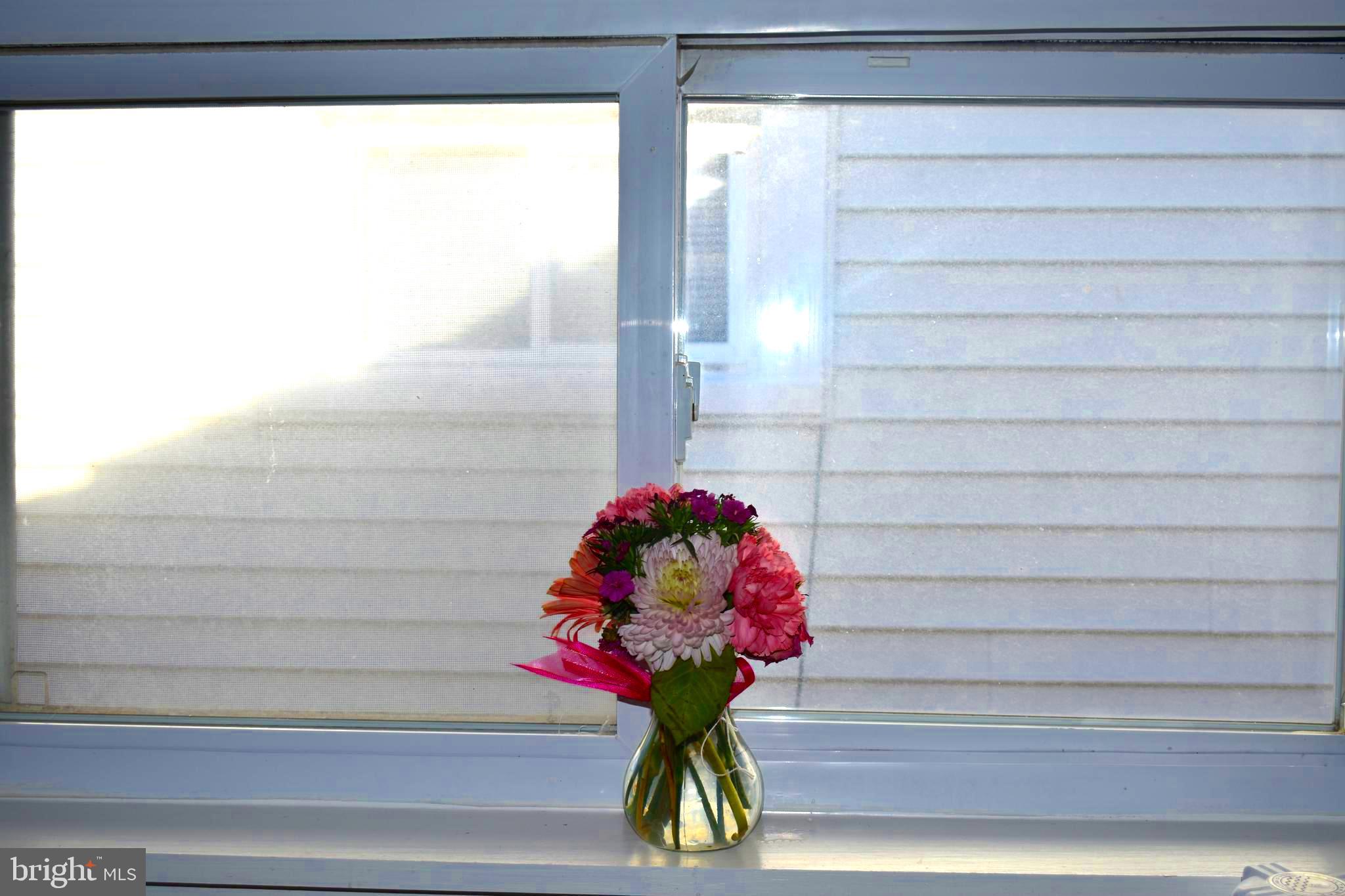 COLMAR MANOR - Residential