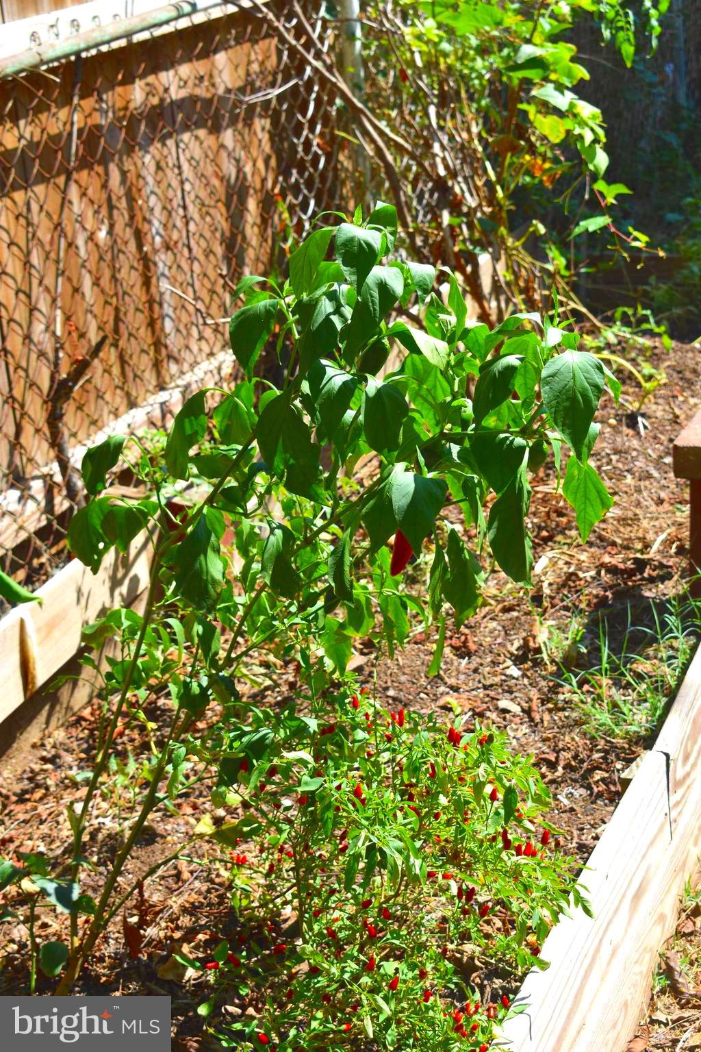 COLMAR MANOR - Residential