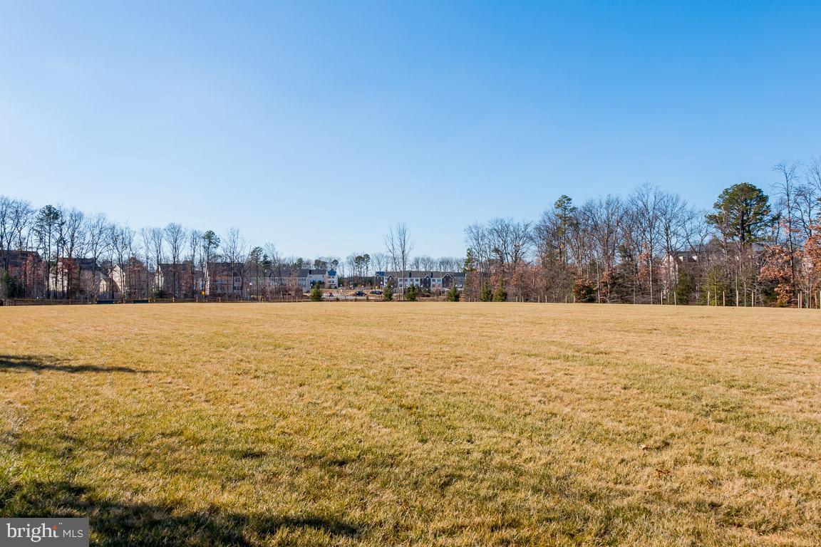 TANYARD SPRINGS - Residential