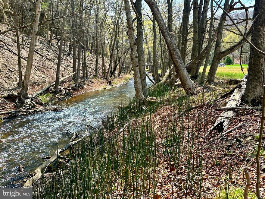 18 acs of UNRESTRICTED acreage, you decide how to use the property.  Build that dream home, cabin or use it for a camping retreat.  Diverse habitat that offers the essential elements needed to grow & hold the wildlife.  With the Open Fields, Hardwoods & MILL CREEK flowing through the property, you can embrace the outdoors and relax in this serene mountain setting.   Easy, all season access with great location.  Only 2 hours from Northern Virginia, minutes from Mill Creek Golf Course and short drive to many South Branch Valley Attractions.  This is YOUR OPPORTUNITY to own a property that checks most of the boxes.  .   Property has been recently surveyed.