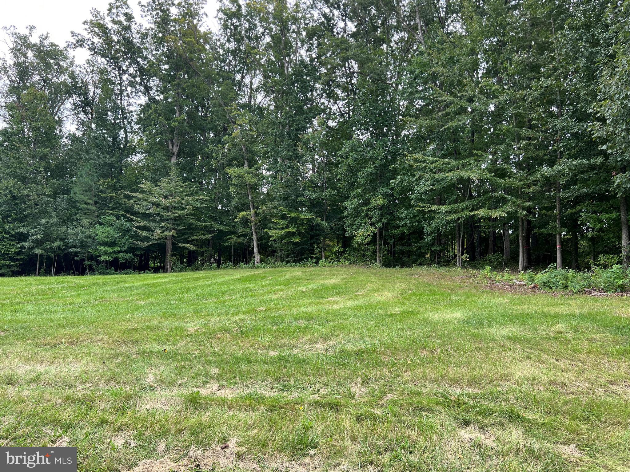 LOT 175 RAINBOW RIDGE