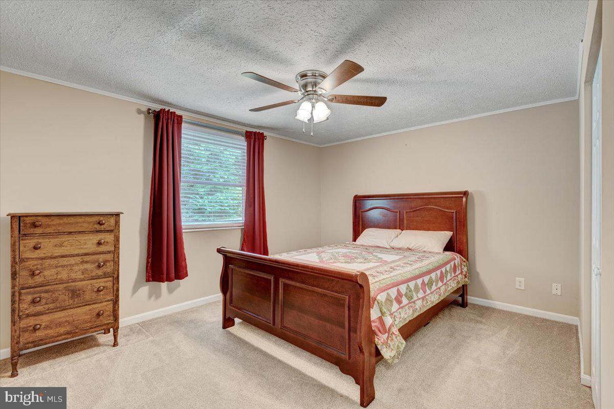 PLANTATION FOREST - Residential