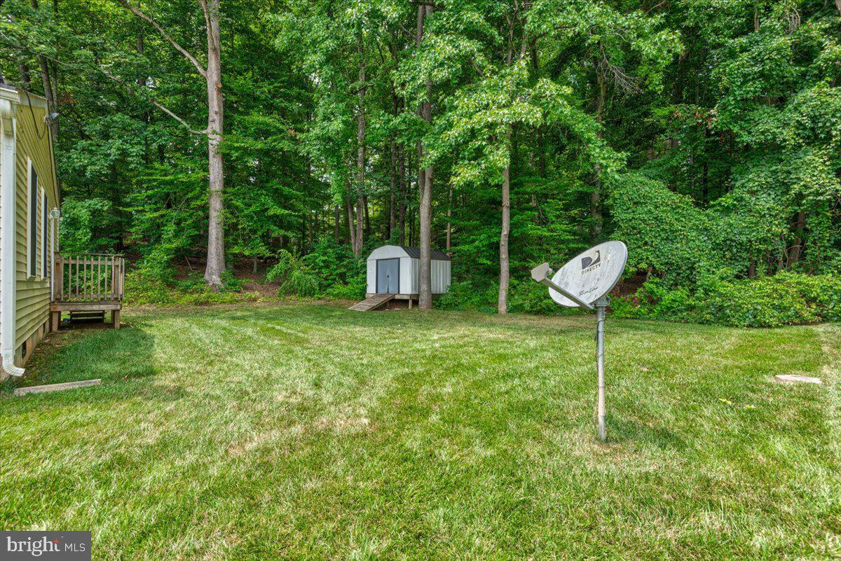 PLANTATION FOREST - Residential