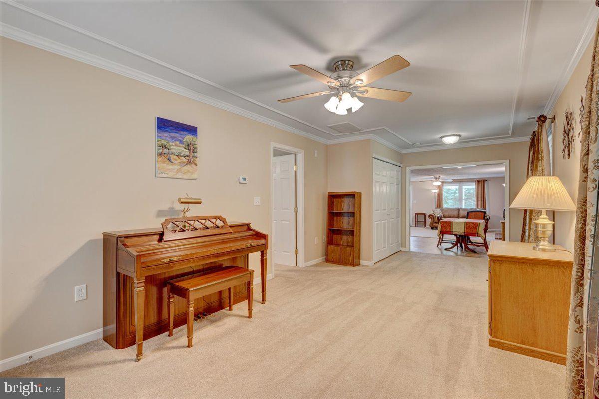 PLANTATION FOREST - Residential