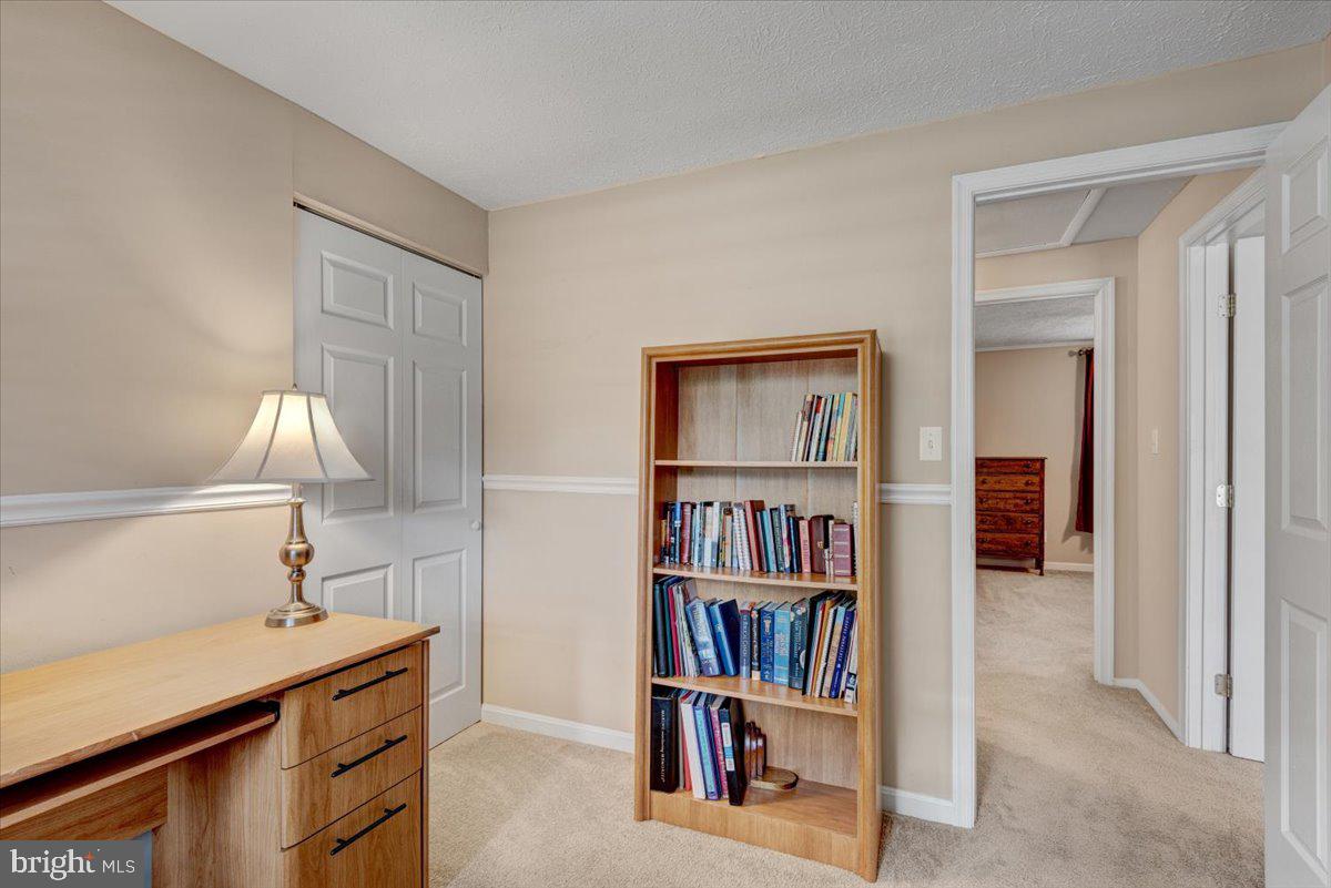 PLANTATION FOREST - Residential