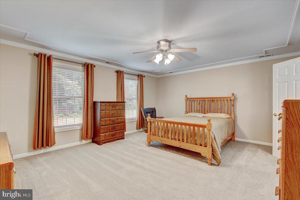 PLANTATION FOREST - Residential