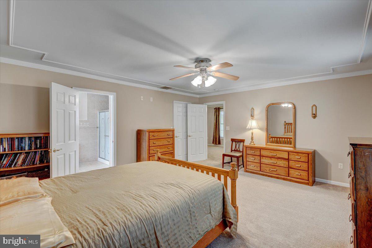 PLANTATION FOREST - Residential