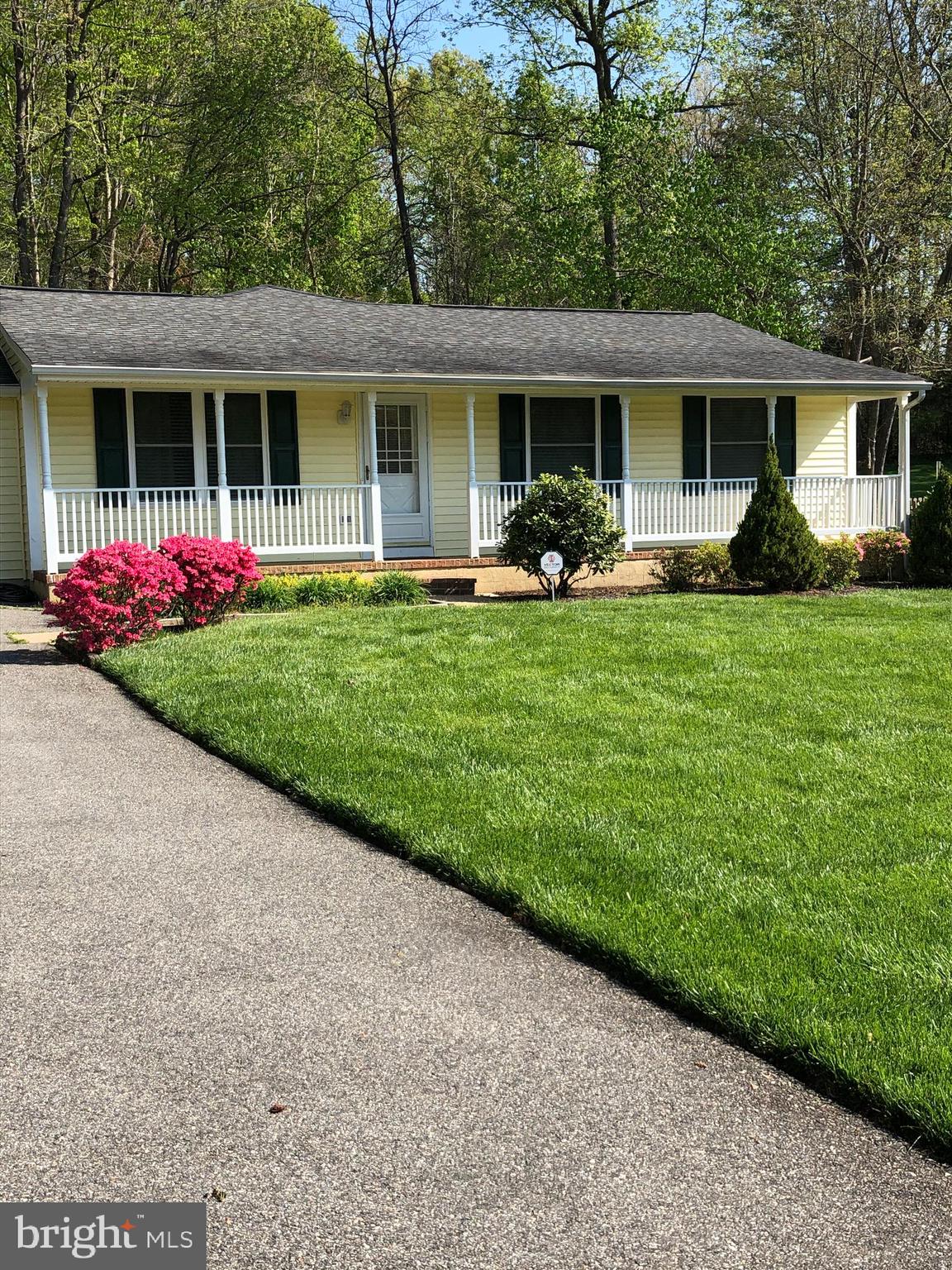 PLANTATION FOREST - Residential