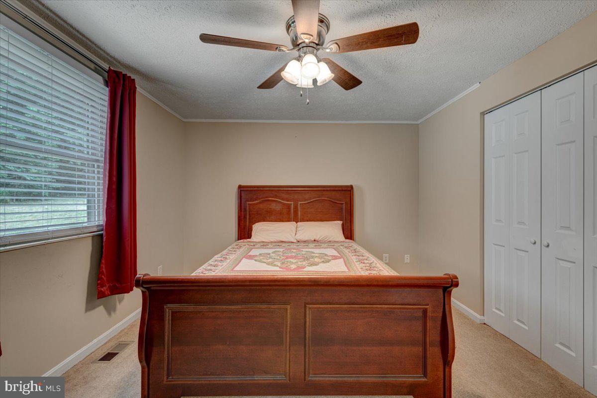 PLANTATION FOREST - Residential