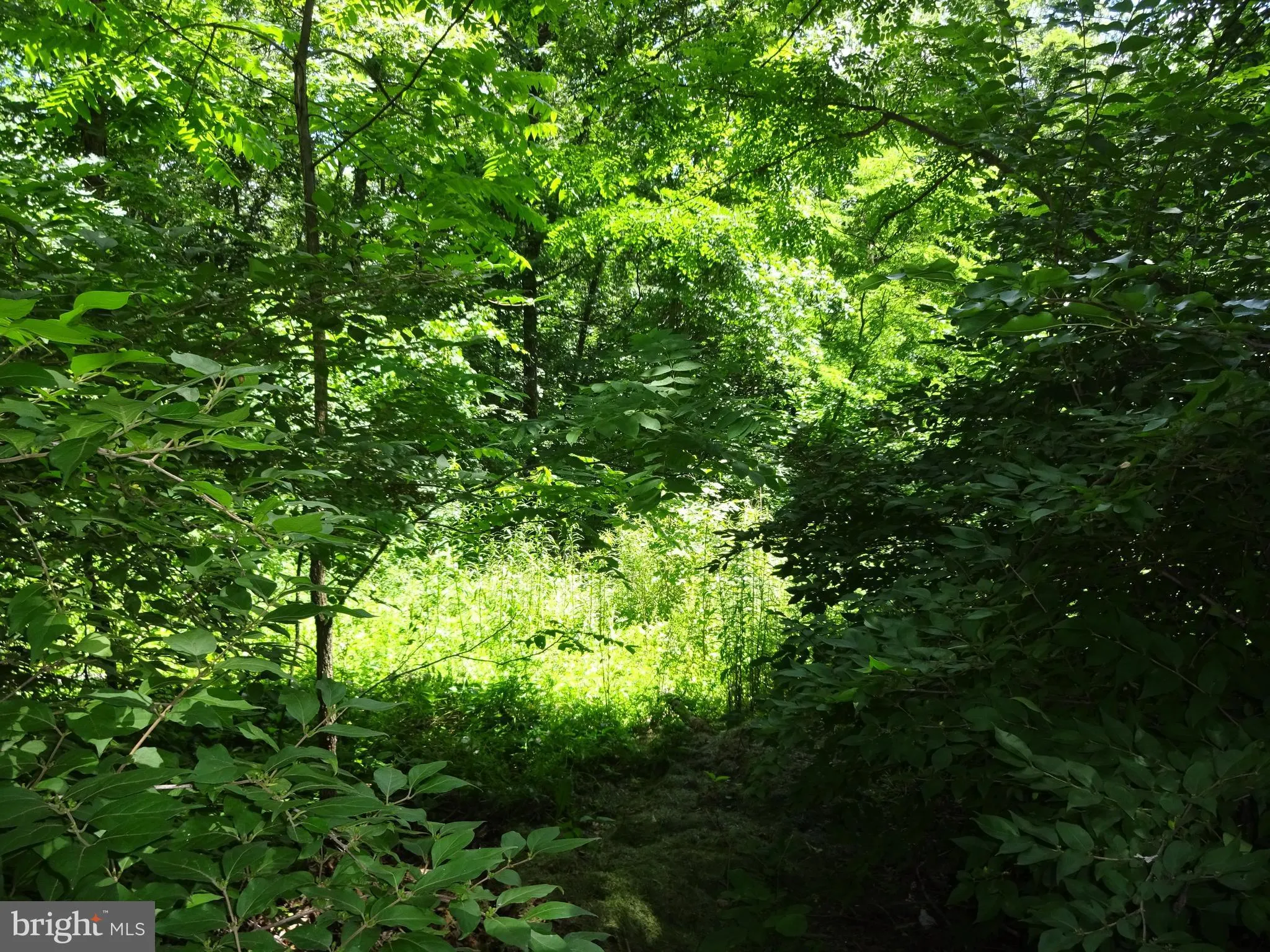Cresap Street, Cresaptown, MD 21502