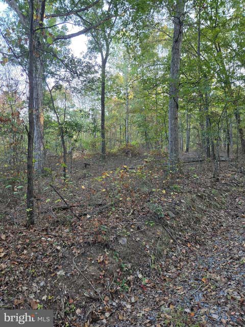 Vacant Land For Sale - Hungaria Road<br/> BERKELEY SPRINGS, WV 25411