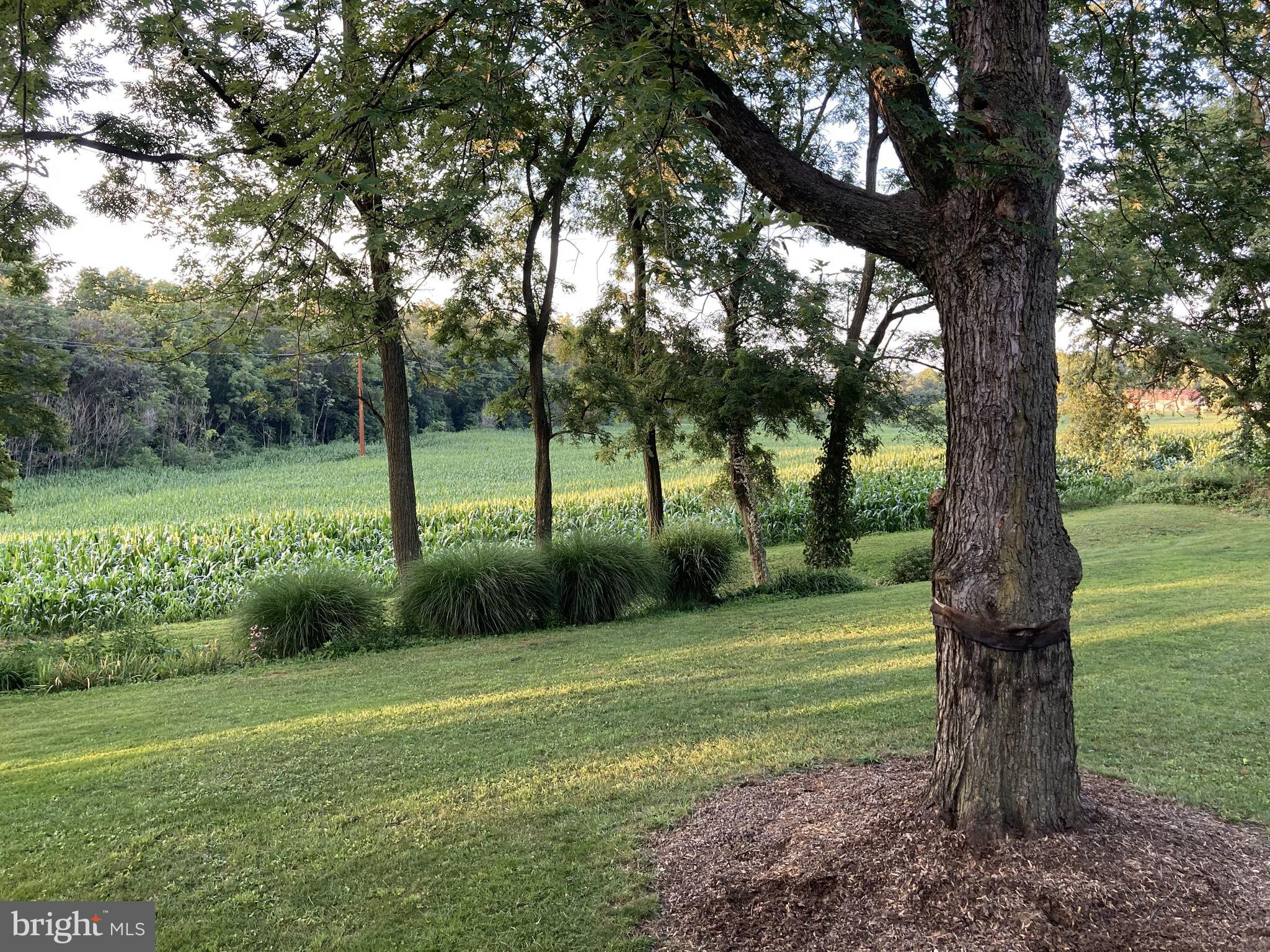 WEST HEMPFIELD - Residential