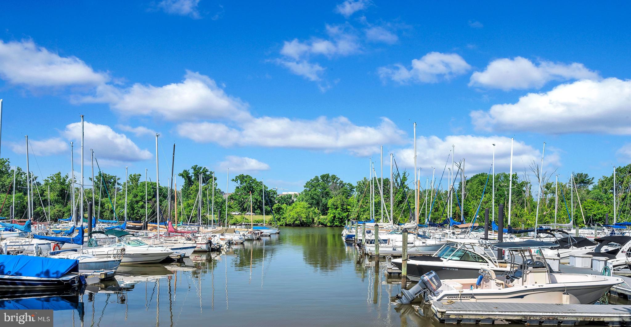 POTOMAC GREENS - Residential Lease