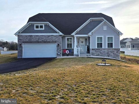 20202 GREYTHORNE LANE MILLSBORO DE 19966