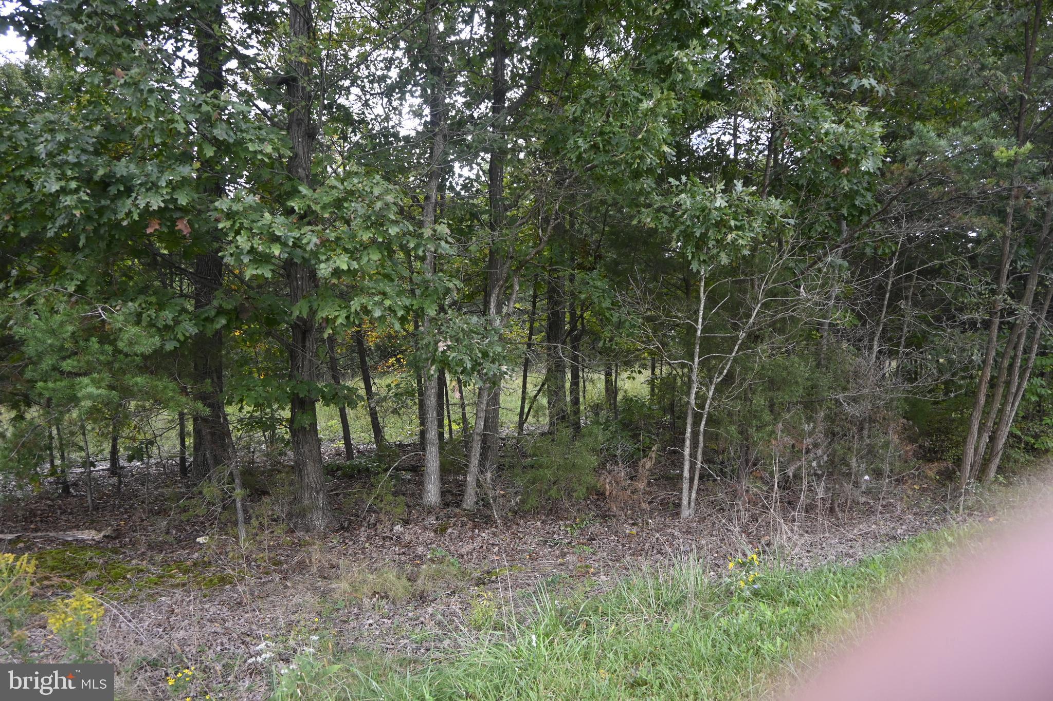 11601 BRADDOCK ROAD