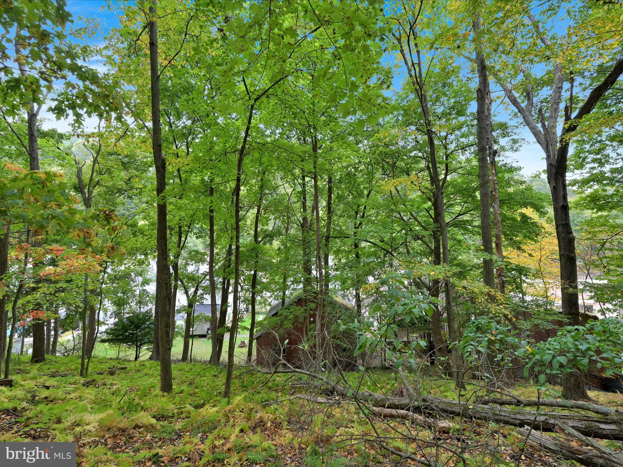 Pottsville, Pennsylvania 17901, United States, ,Commercial,Active,217906