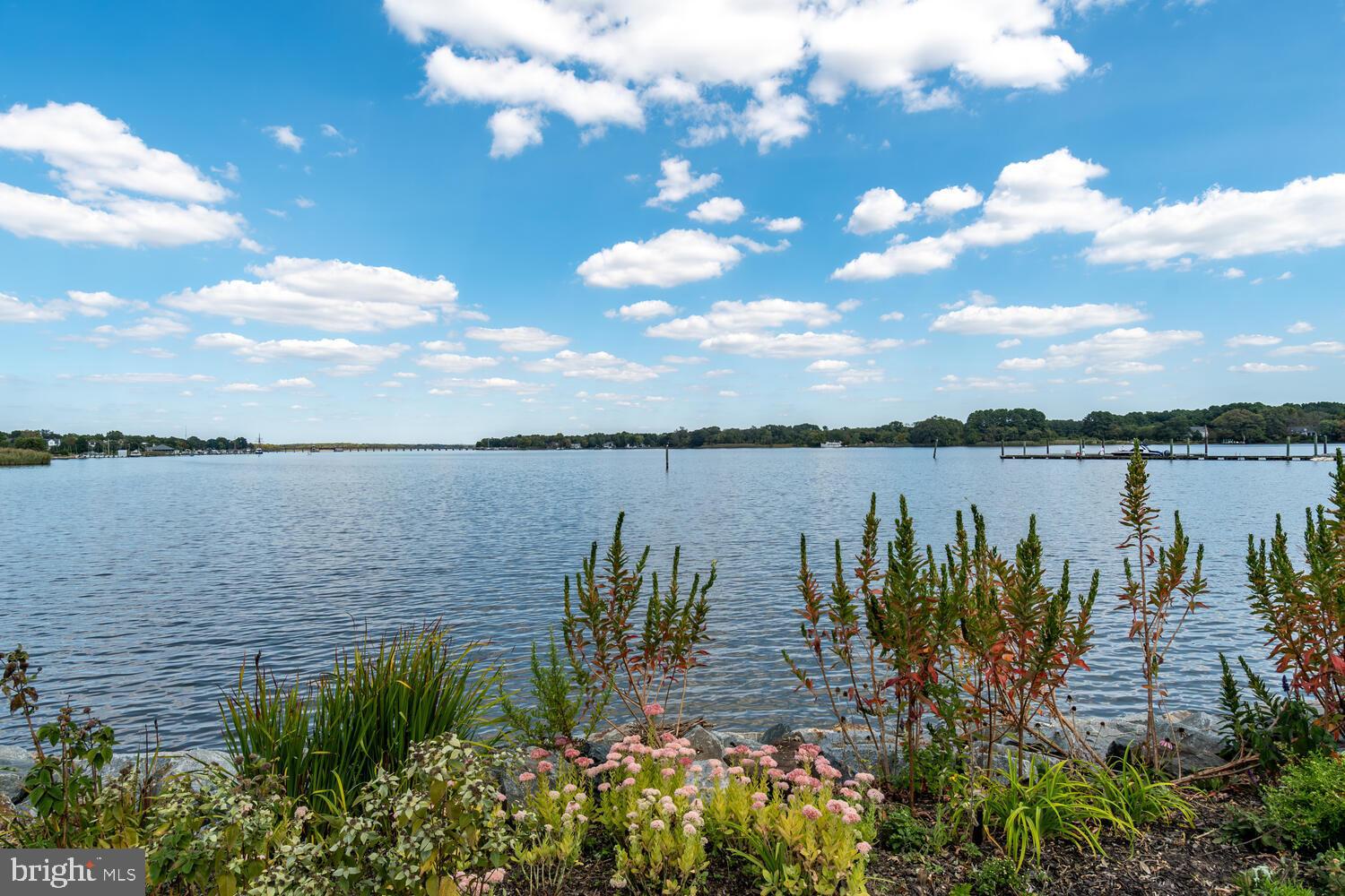 CHESTER RIVER LANDING - Residential