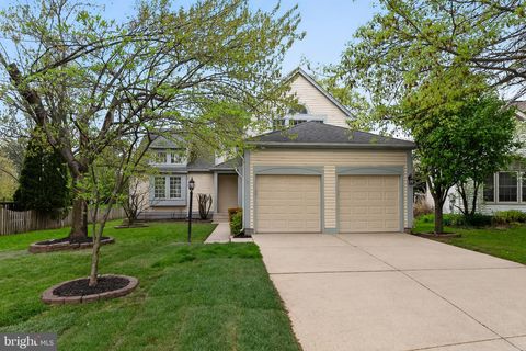 20211 BIRDSNEST PLACE ASHBURN VA 20147