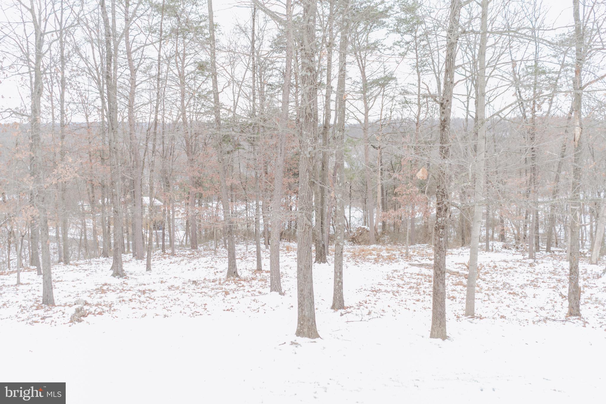 APPLE ORCHARD ACRES - Residential