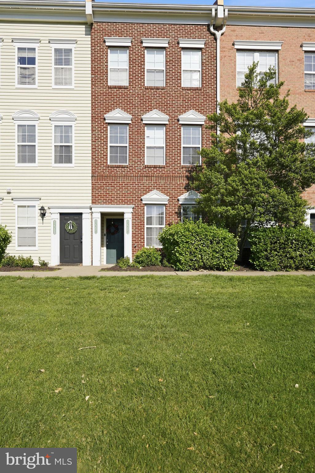 42393 GOLDENSEAL SQUARE