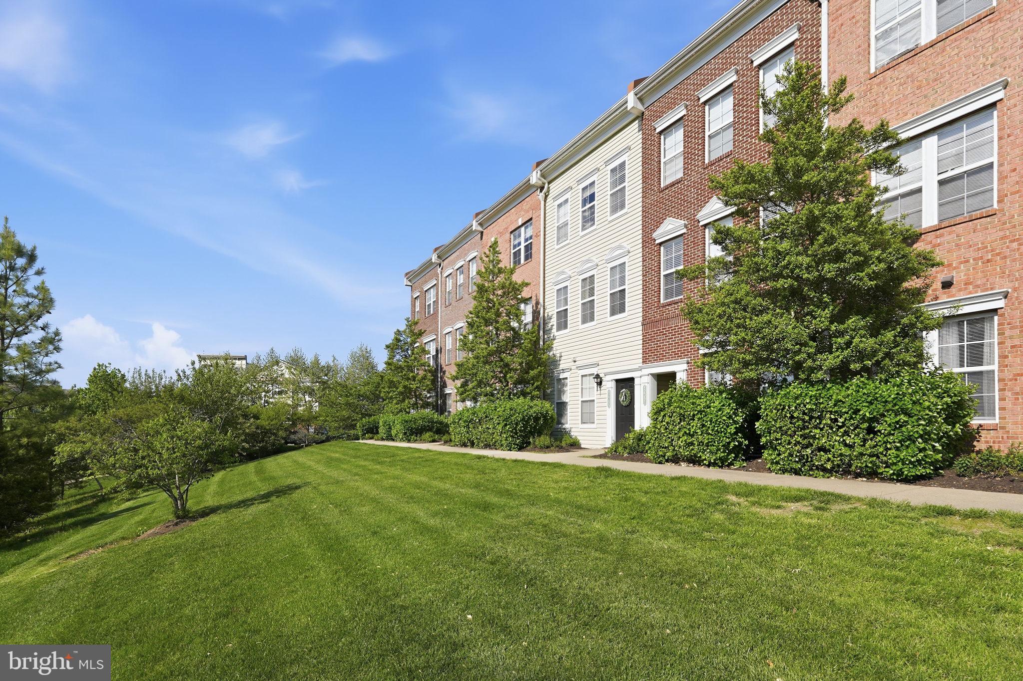 42393 GOLDENSEAL SQUARE