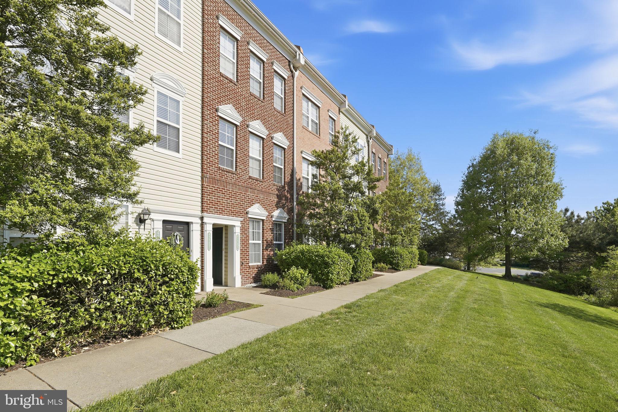 42393 GOLDENSEAL SQUARE